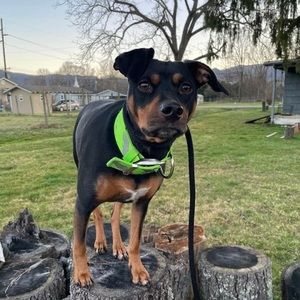 Meet your Posher, Jaeden